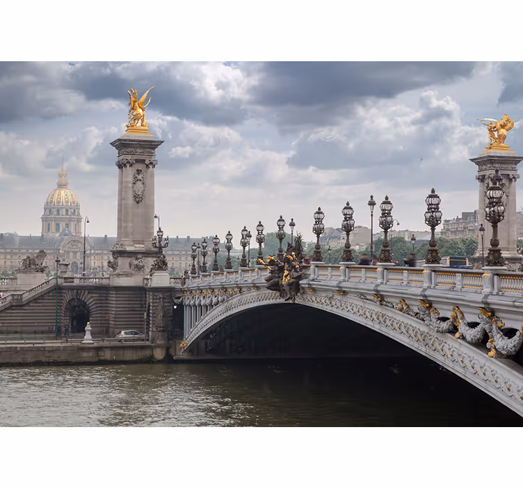 Fotomurais cidades e países vista da ponte alexandre iii - TenStickers