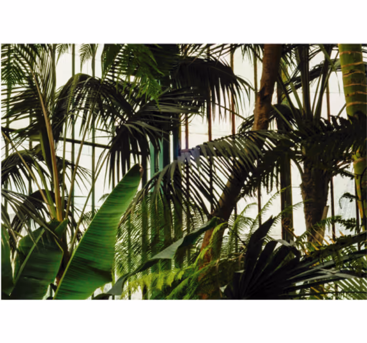 Murais de Parede Paredes vivas plantas verdes - TenStickers