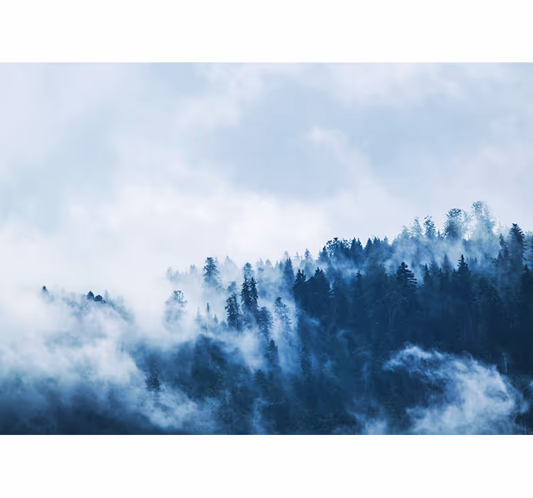 Fotomurais de paisagens Floresta de nevoeiro azul - TenStickers
