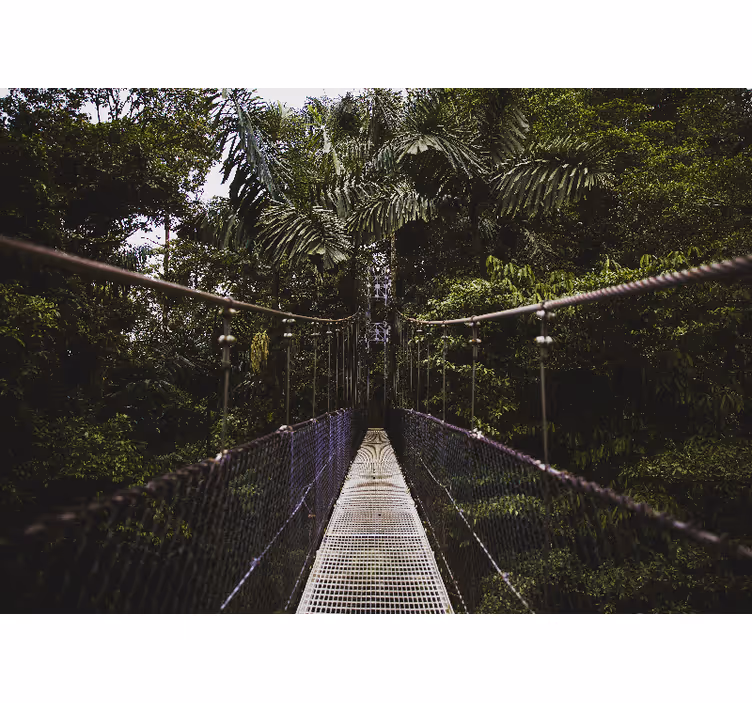 Mural de parede natureza aventura em ponte suspensa - TenStickers