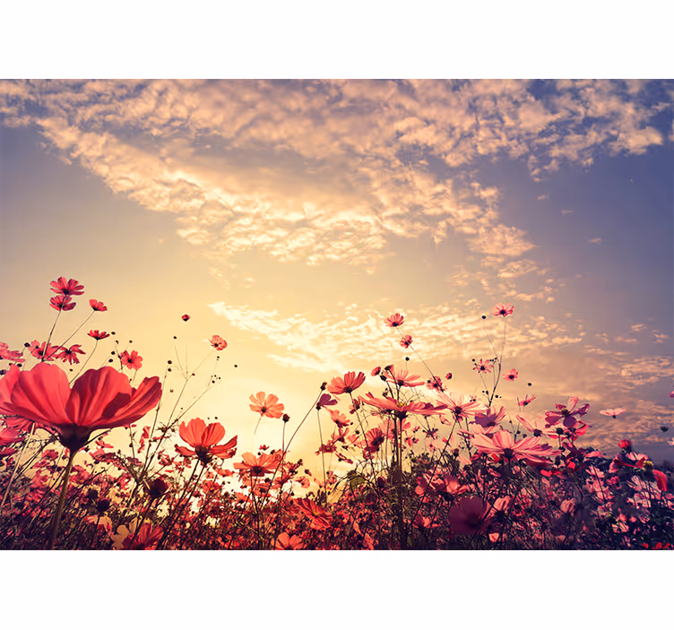 Fotomurais flores Paisagem flores de fundo natural - TenStickers