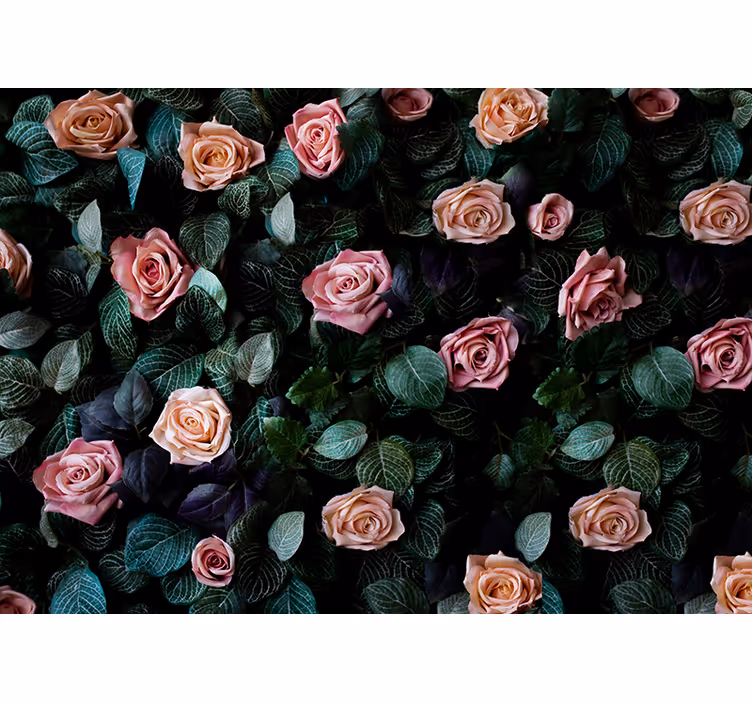 Fotomurais flores floral rosa romântico - TenStickers