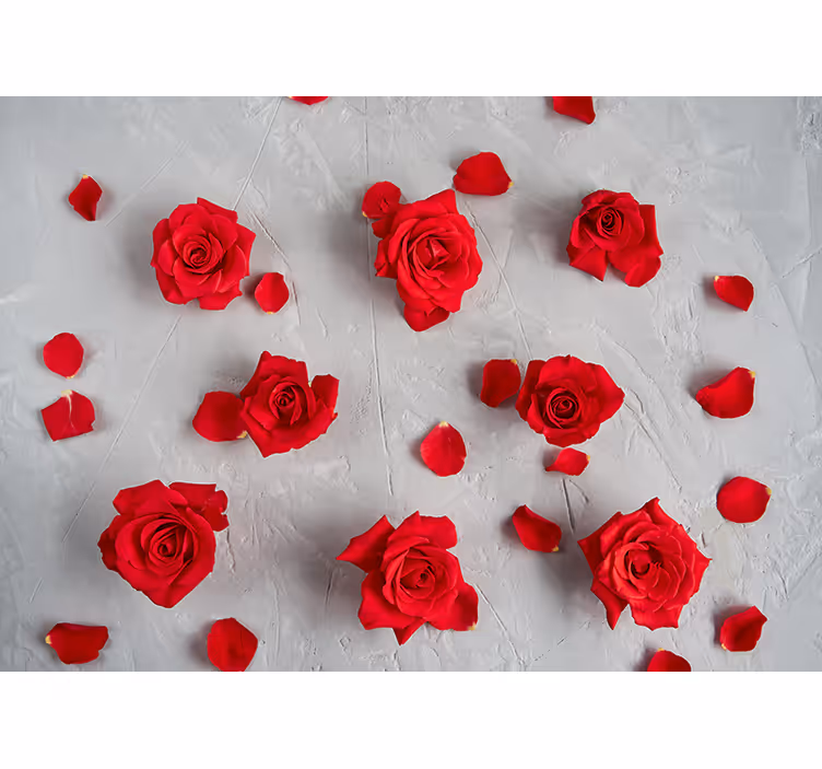 Fotomurais flores pétalas de rosa vermelha - TenStickers