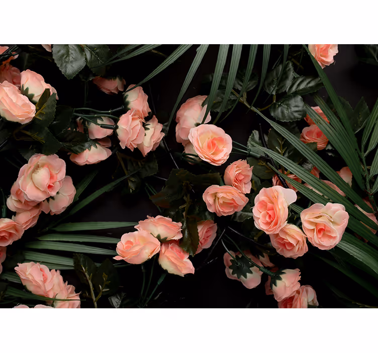 Fotomurais flores rosas rosa suaves - TenStickers