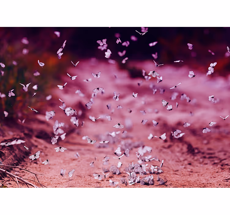 Fotomurais flores dança delicada da borboleta - TenStickers