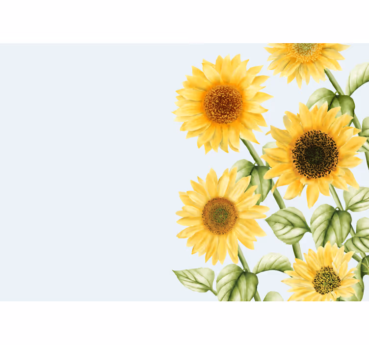 Fotomurais flores exibição de flores de girassol - TenStickers