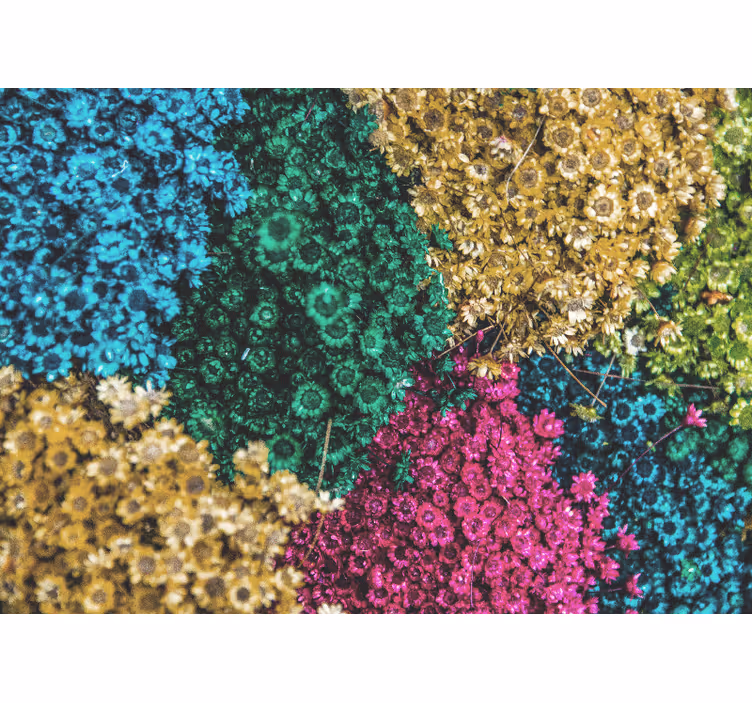 Fotomurais flores com padrões florais coloridos - TenStickers
