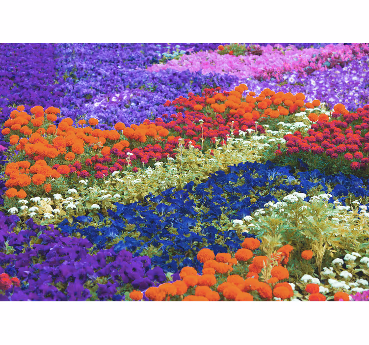 Mural de parede flores campo colorido - TenStickers