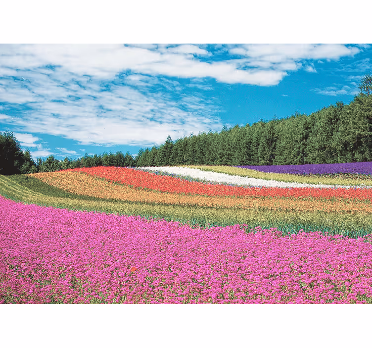 Fotomurais flores paisagem floral vibrante - TenStickers