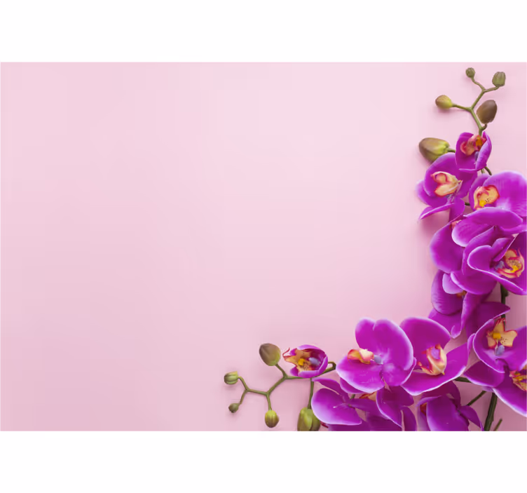 Fotomurais flores Fundo rosa com - TenStickers