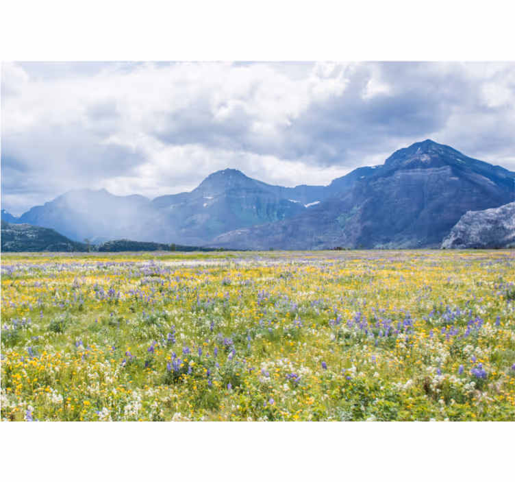Fotomurais de paisagens campo de flores na montanha - TenStickers