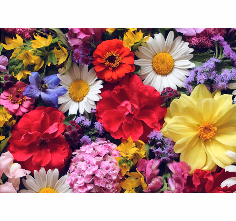 Fotomurais flores arranjo de flores vibrantes - TenStickers