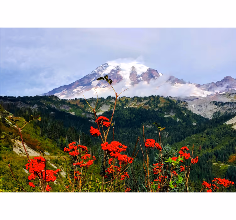 Fotomurais de paisagens montanha coberta de neve - TenStickers