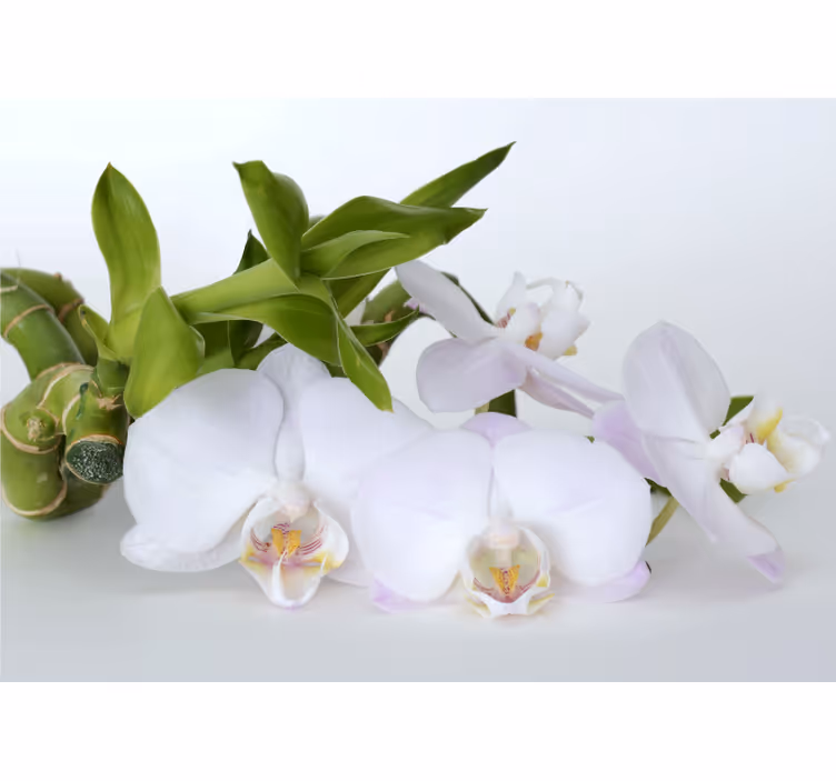 Mural de parede orquídeas arranjo elegante - TenStickers