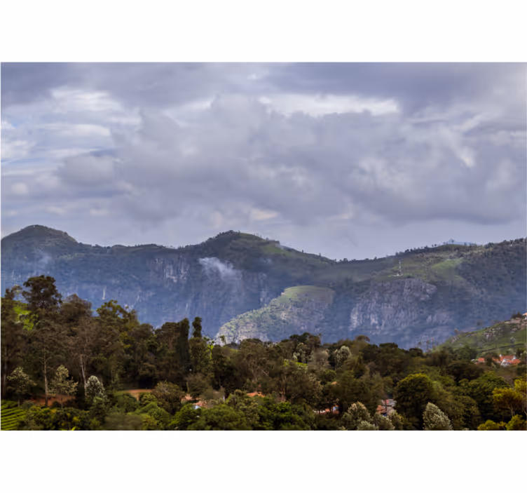 Fotomurais de paisagens vista serena das montanhas - TenStickers