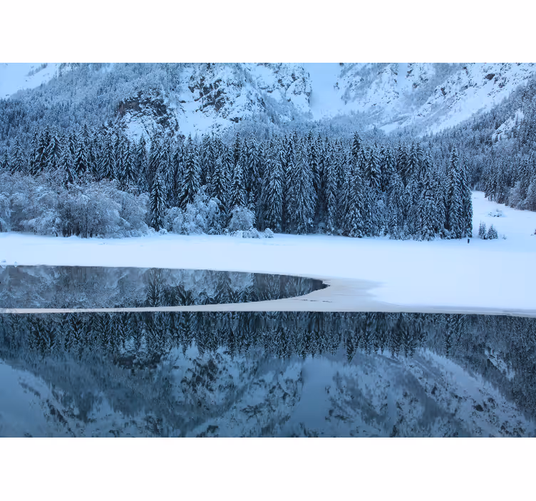 Fotomurais de paisagens inverno sereno - TenStickers