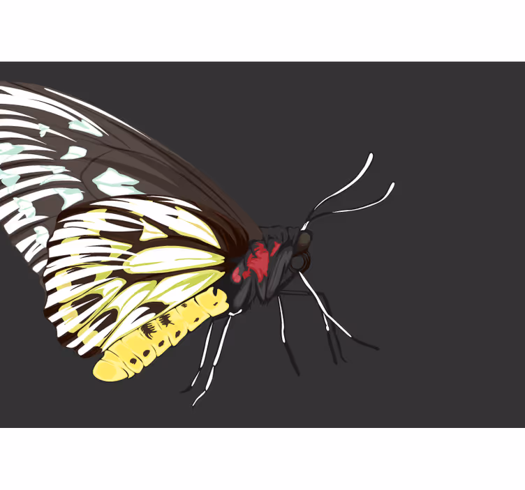Fotomurais flores desenho de borboleta amarela - TenStickers