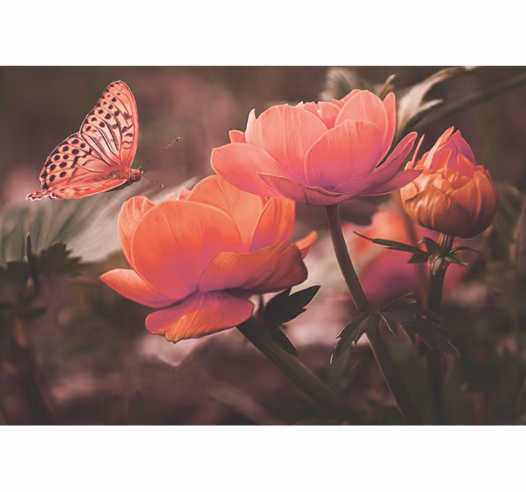 Fotomurais flores borboleta sobre flores - TenStickers