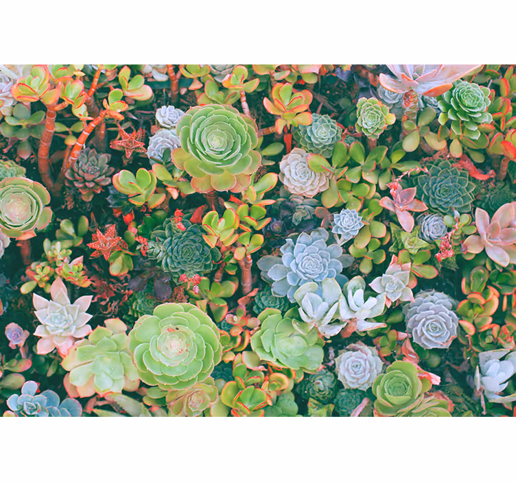 Fotomurais de paisagens Folhas finas tropicais multicoloridas - TenStickers