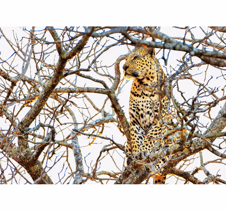 Mural de parede animais leopardo entre galhos - TenStickers