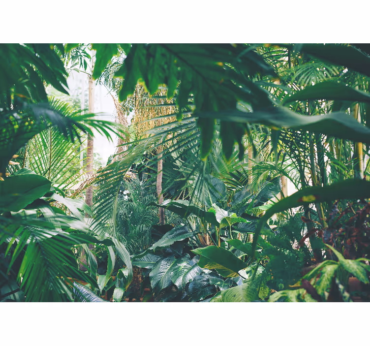 Fotomural selva oásis tropical luxuriante - TenStickers