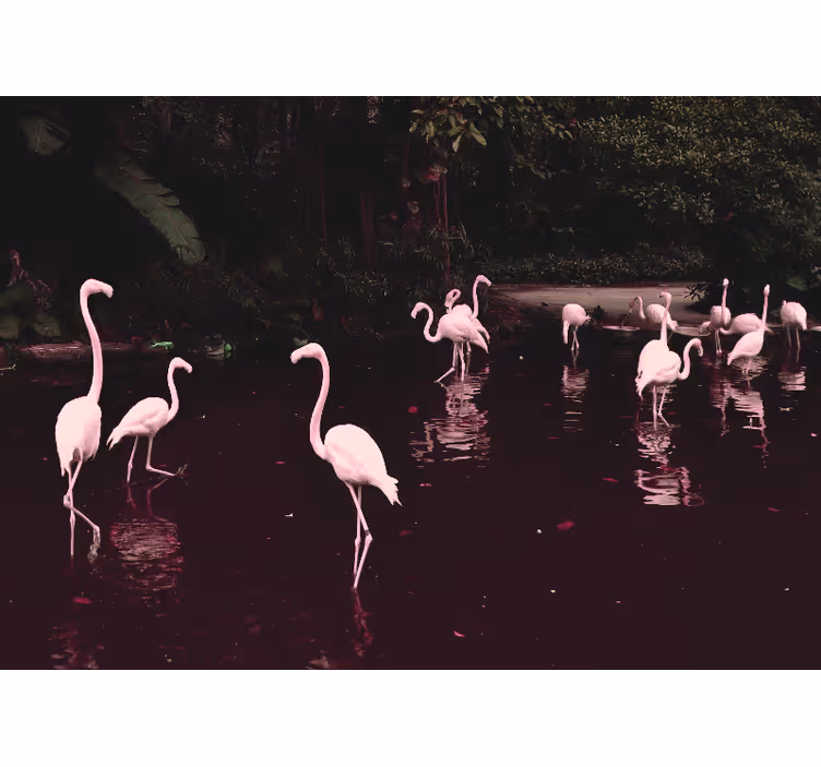 Fotomural para gabinete encontro de flamingos elegantes - TenStickers