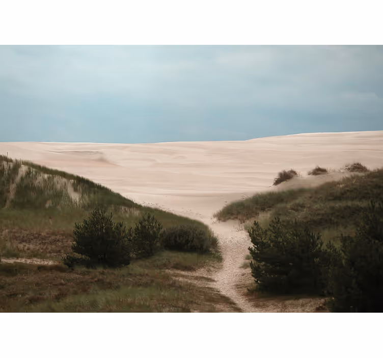 Fotomurais de paisagens caminho de areia - TenStickers