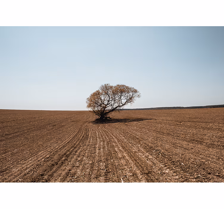 Mural de parede natureza paisagem da Árvore solitária - TenStickers
