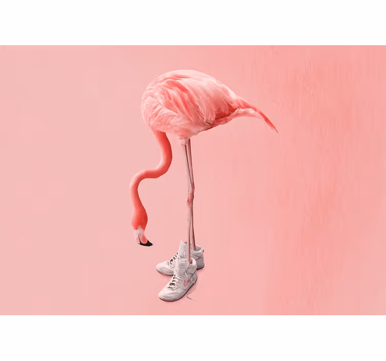 Mural de parede animais flamingo de tênis - TenStickers
