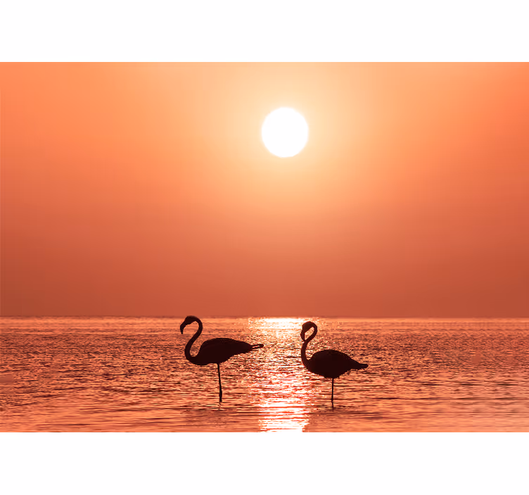Mural de parede animais cena do pôr do sol com flamingo - TenStickers