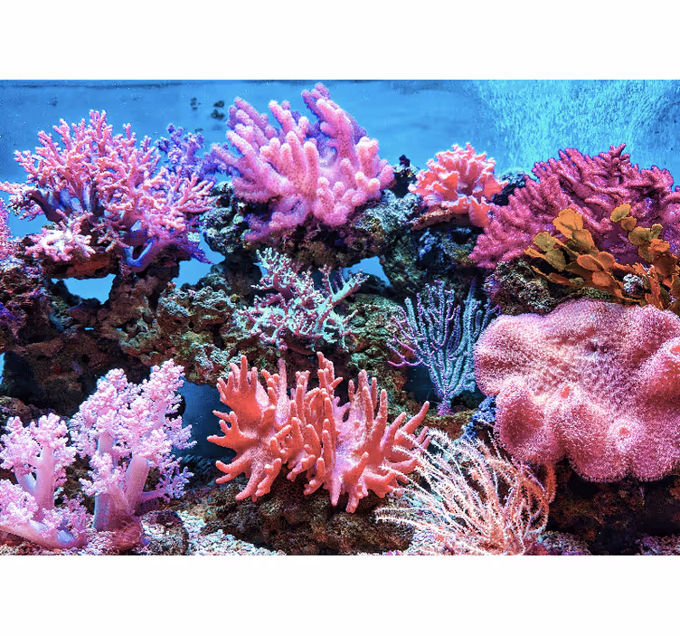 Mural de parede mar cena de coral aquático - TenStickers
