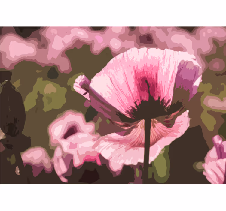 Mural de parede papoilas flor de papoila rosa - TenStickers