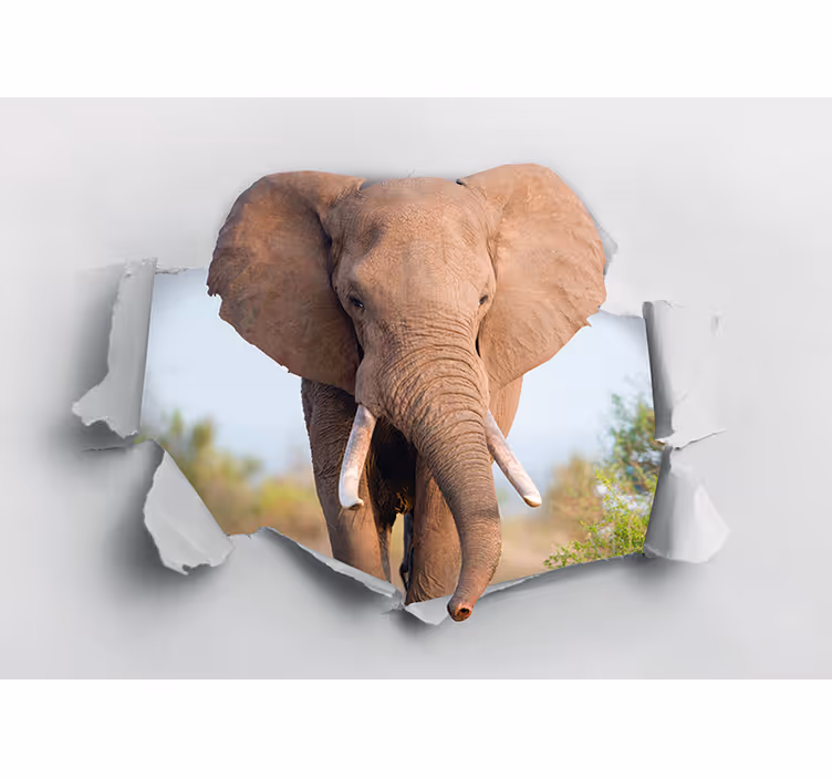 Murais de Parede 3D Elefante quebrando a parede - TenStickers