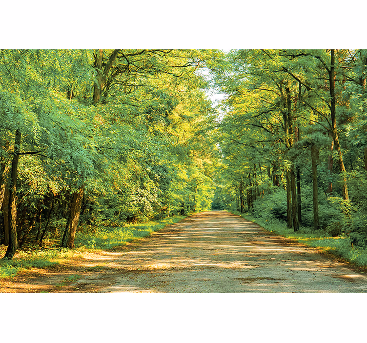 Mural de parede natureza caminho verde luxuriante - TenStickers
