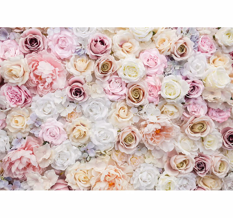 Fotomurais flores coleção flores de rosa - TenStickers