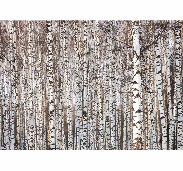 Bétulas em todo o fotomural de parede da natureza - TenStickers