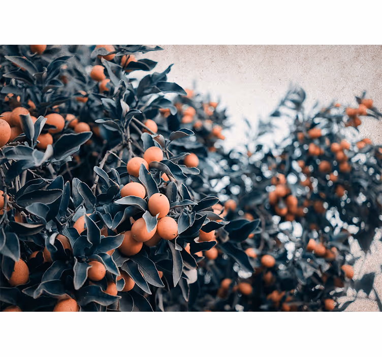 Fotomurais flores ramo de frutas cítricas - TenStickers