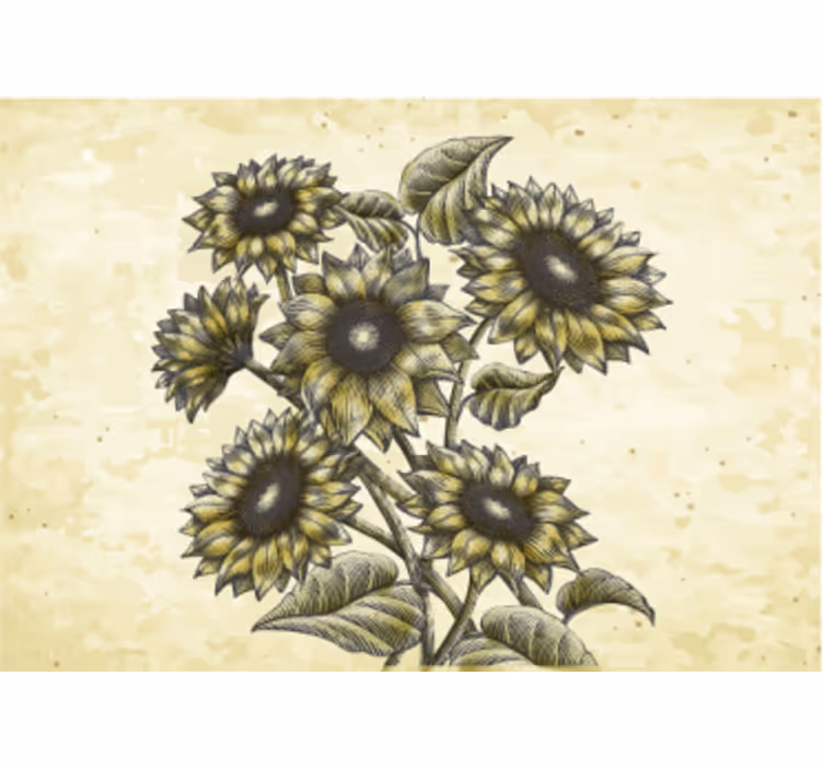 Fotomurais flores composição floral de girassóis - TenStickers