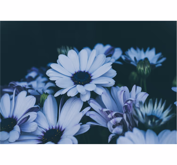 Fotomurais flores arranjo floral sereno - TenStickers