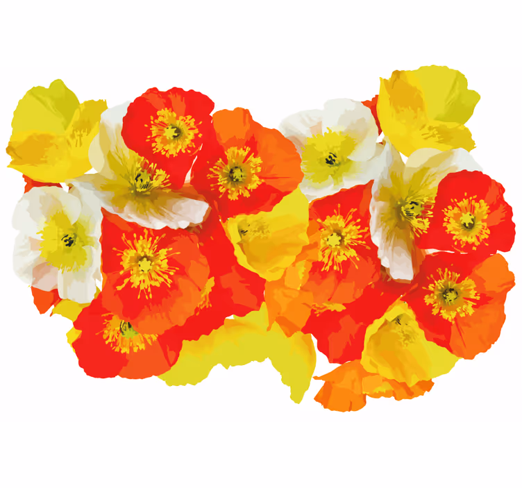 Fotomurais flores composição de flores de papoula - TenStickers