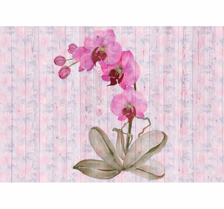 Fotomurais flores flores de orquídea rosa - TenStickers