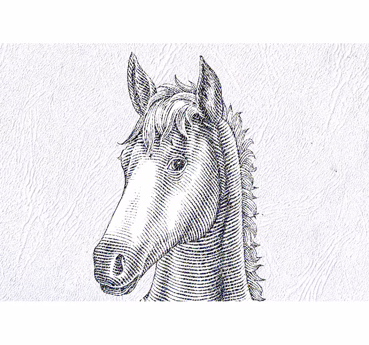 Mural de parede animais retrato elegante de cavalo - TenStickers