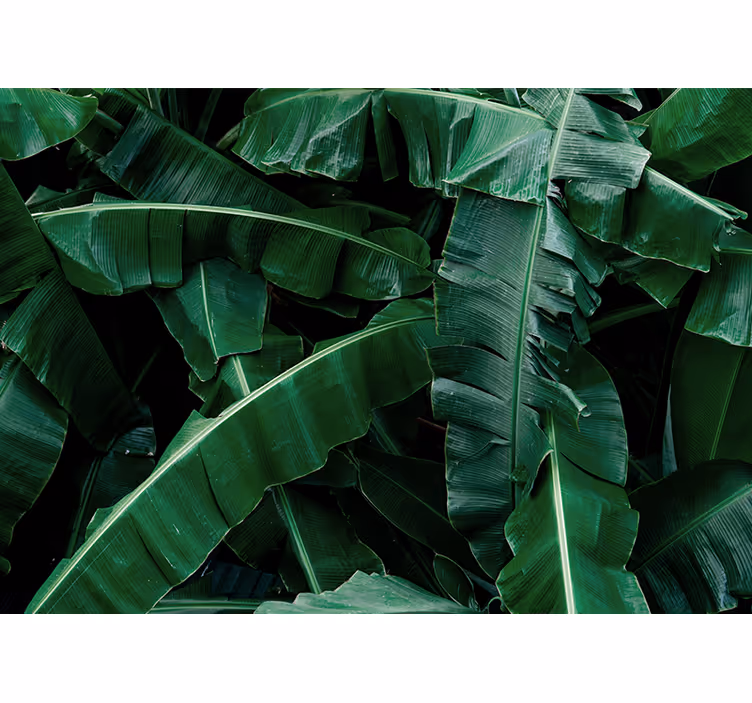 Mural de parede natureza folhagem verde vibrante - TenStickers