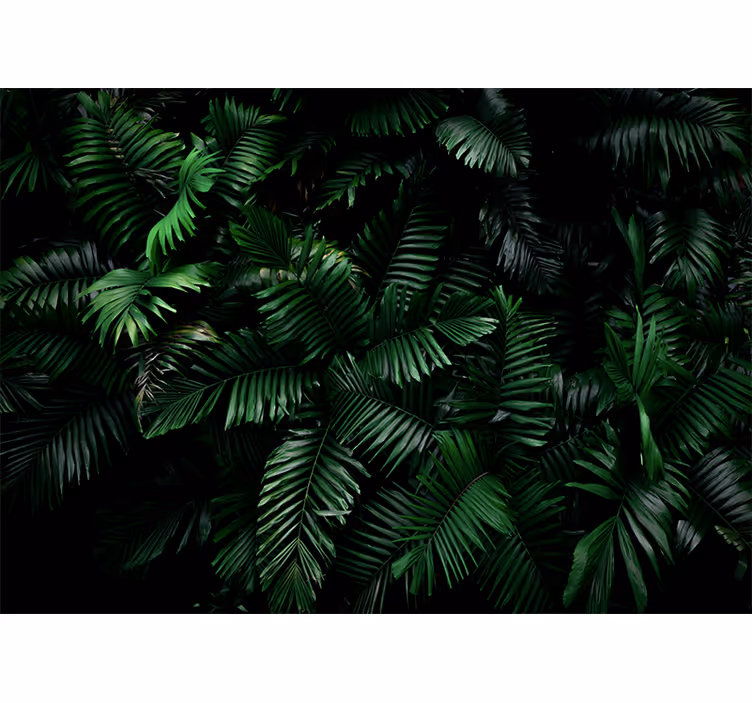 Fotomural selva folhagem verde vibrante - TenStickers