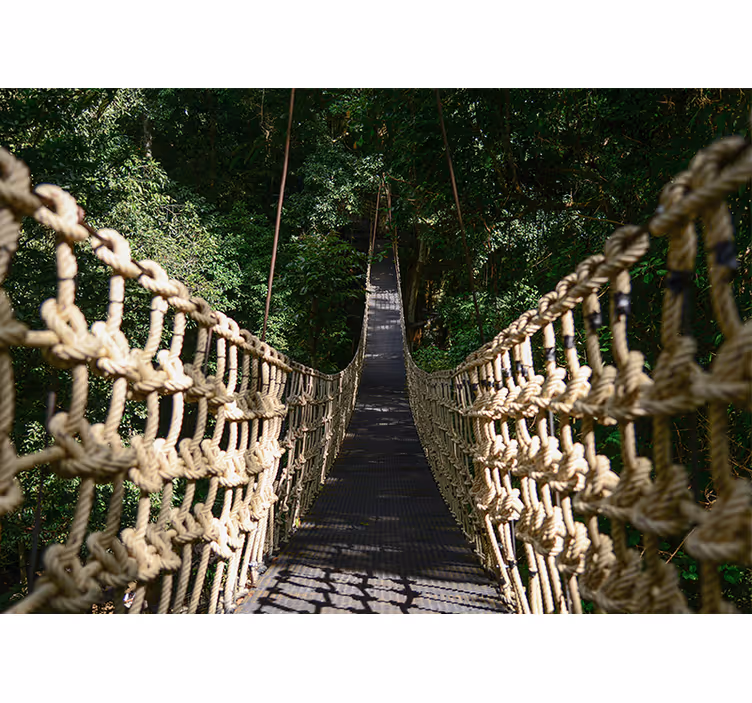 Mural de parede natureza caminho suspenso na floresta - TenStickers