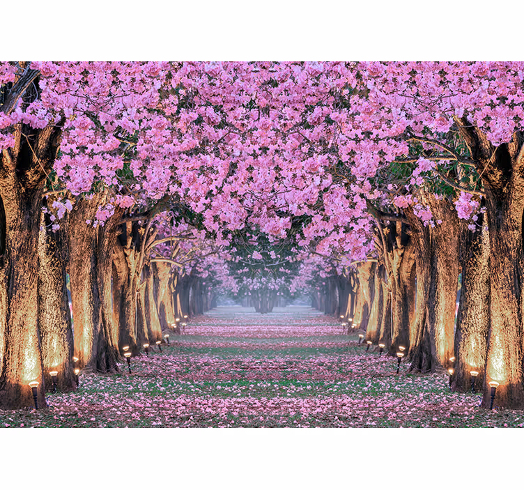 Fotomurais flores caminho das cerejeiras - TenStickers