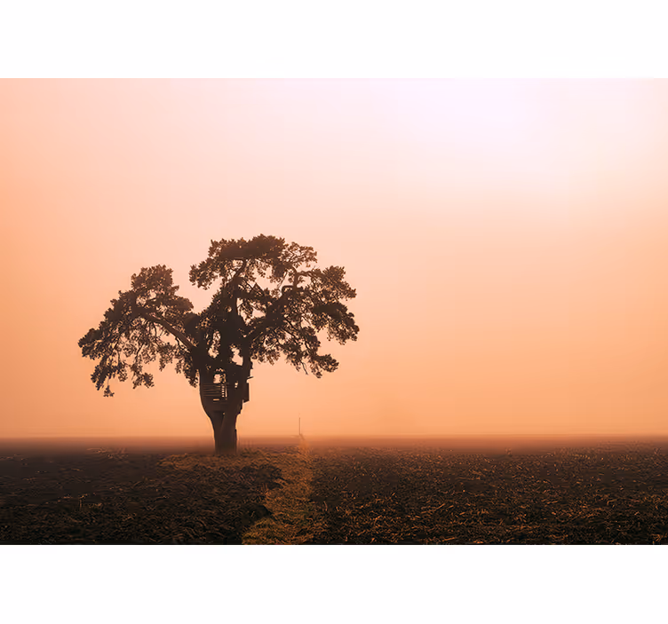 Mural de parede africano majestosa árvore da savana - TenStickers
