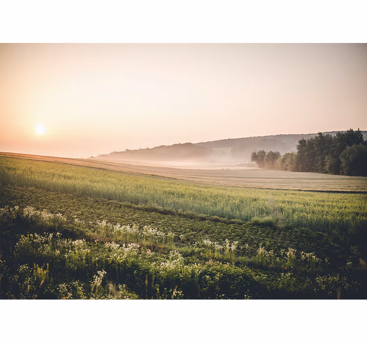 Fotomurais de paisagens campos verdes tranquilos - TenStickers