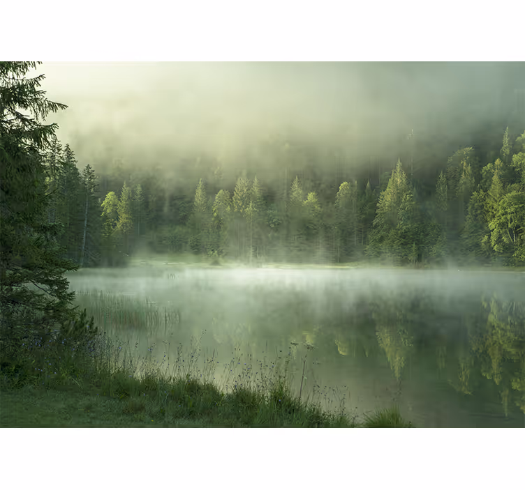 Mural de parede natureza reflexo no lago nebuloso - TenStickers