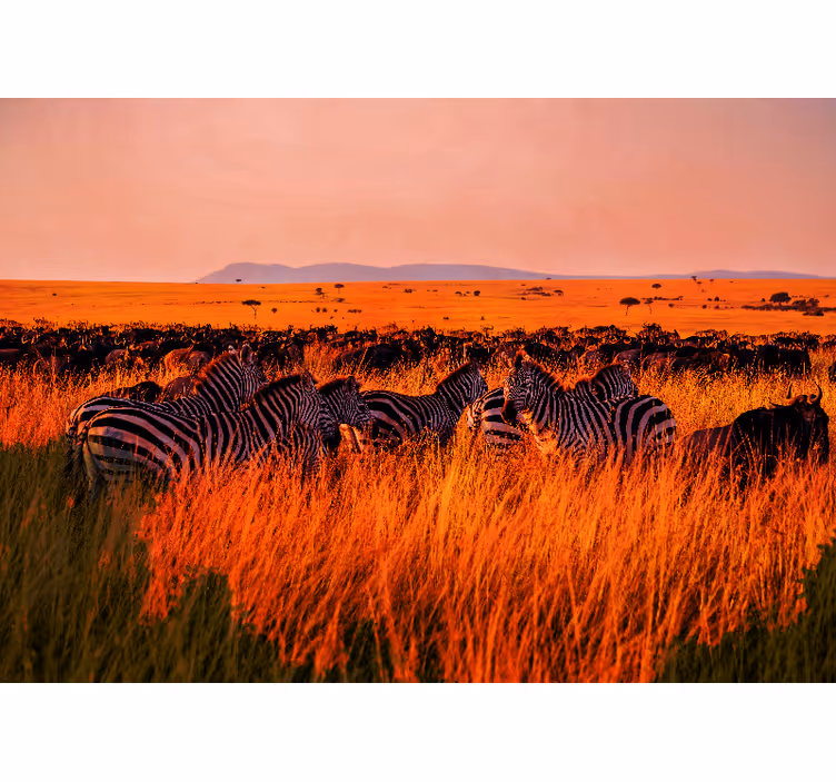 Mural de parede natureza zebras no serengeti - TenStickers